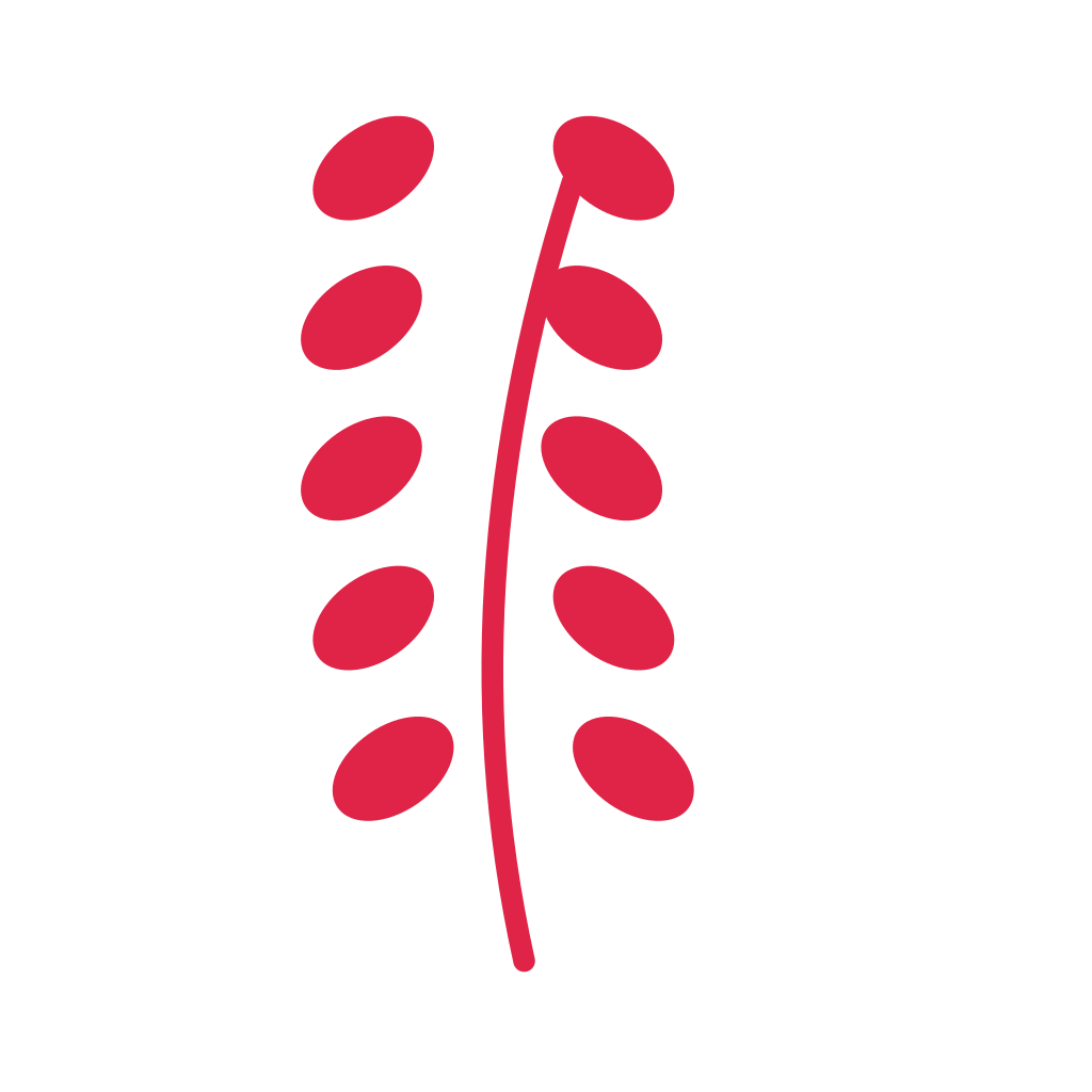A slender curved stem carries 5 pairs of round leaves, with shorter growth towards its tip.