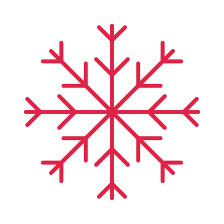 8 arm snowflake with 2 branch tiers at 45 degrees.