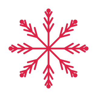 8 arm snowflake with 3 branch tiers and bead tips at 30 degrees.