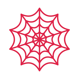 10 spoke spider web with 4 rings.