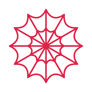 12 spoke spider web with 2 rings.
