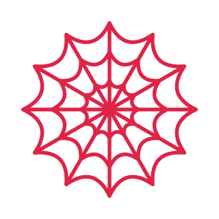 12 spoke spider web with 3 rings.