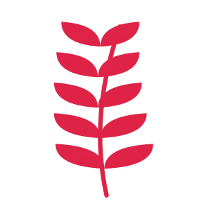 A slender curved stem carries 5 pairs of almond leaves, with shorter growth towards its tip.