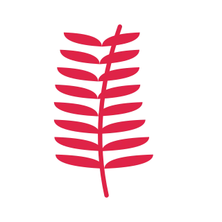 A slender curved stem carries 8 pairs of almond leaves, with shorter growth towards its tip.