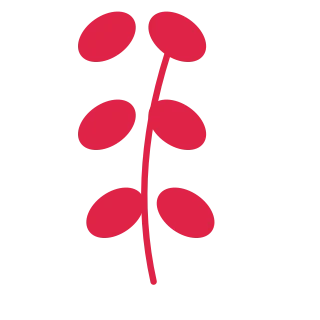 A slender curved stem carries 3 pairs of round leaves, with shorter growth towards its tip.