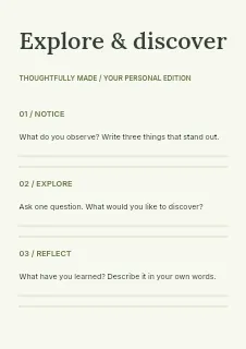 Local fundraiser evening worksheet template · Structured worksheets