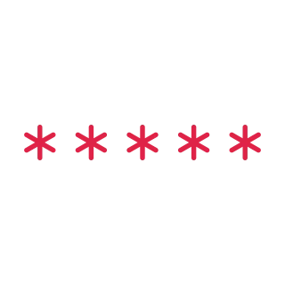 5 snowflakes decorative divider.