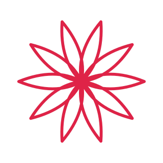 10 petal rosette flower.