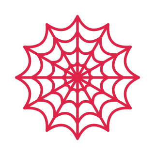 12 spoke spider web with 4 rings.