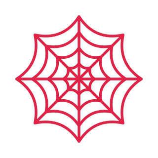 8 spoke spider web with 4 rings.
