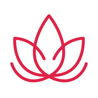 A symmetrical lotus spreads five open petals above two curved leaves.
