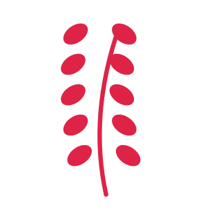 A slender curved stem carries 5 pairs of round leaves, with shorter growth towards its tip.