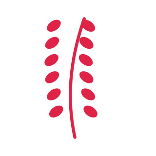A slender curved stem carries 6 pairs of round leaves, with shorter growth towards its tip.