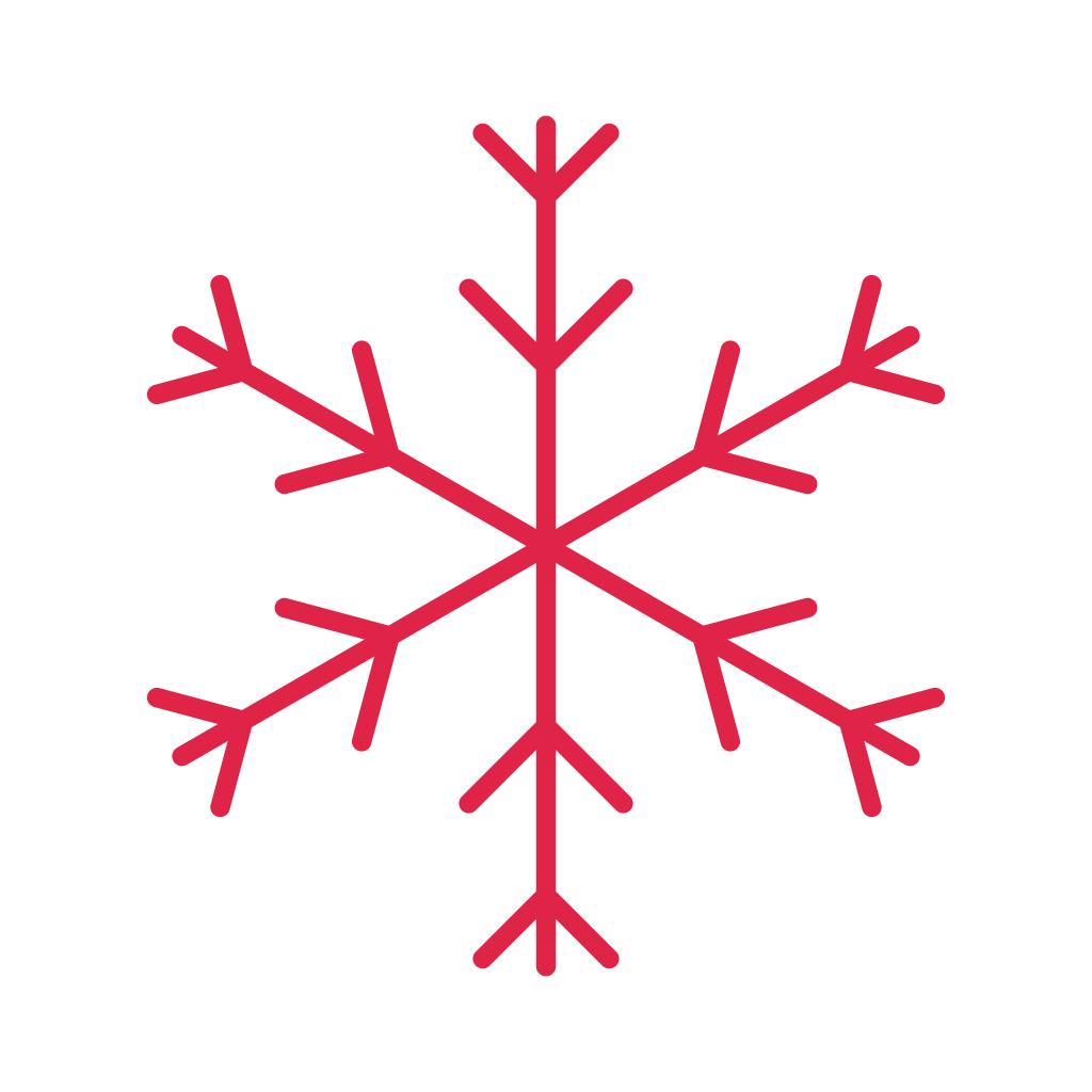 6 arm snowflake with 2 branch tiers at 45 degrees.