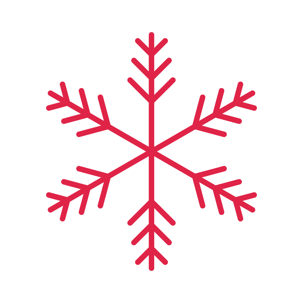 6 arm snowflake with 3 branch tiers at 45 degrees.