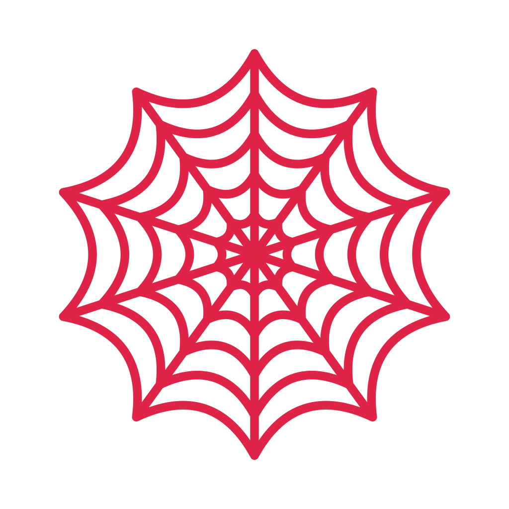 10 spoke spider web with 5 rings.