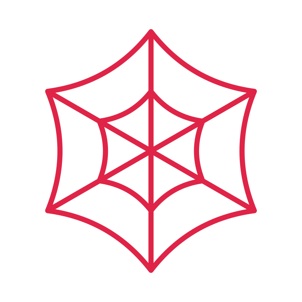 6 spoke spider web with 2 rings.