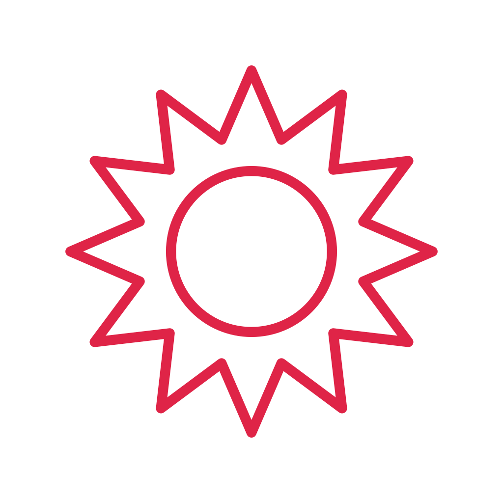 A double radial badge has 12 evenly spaced outward points and an inner circular ring.