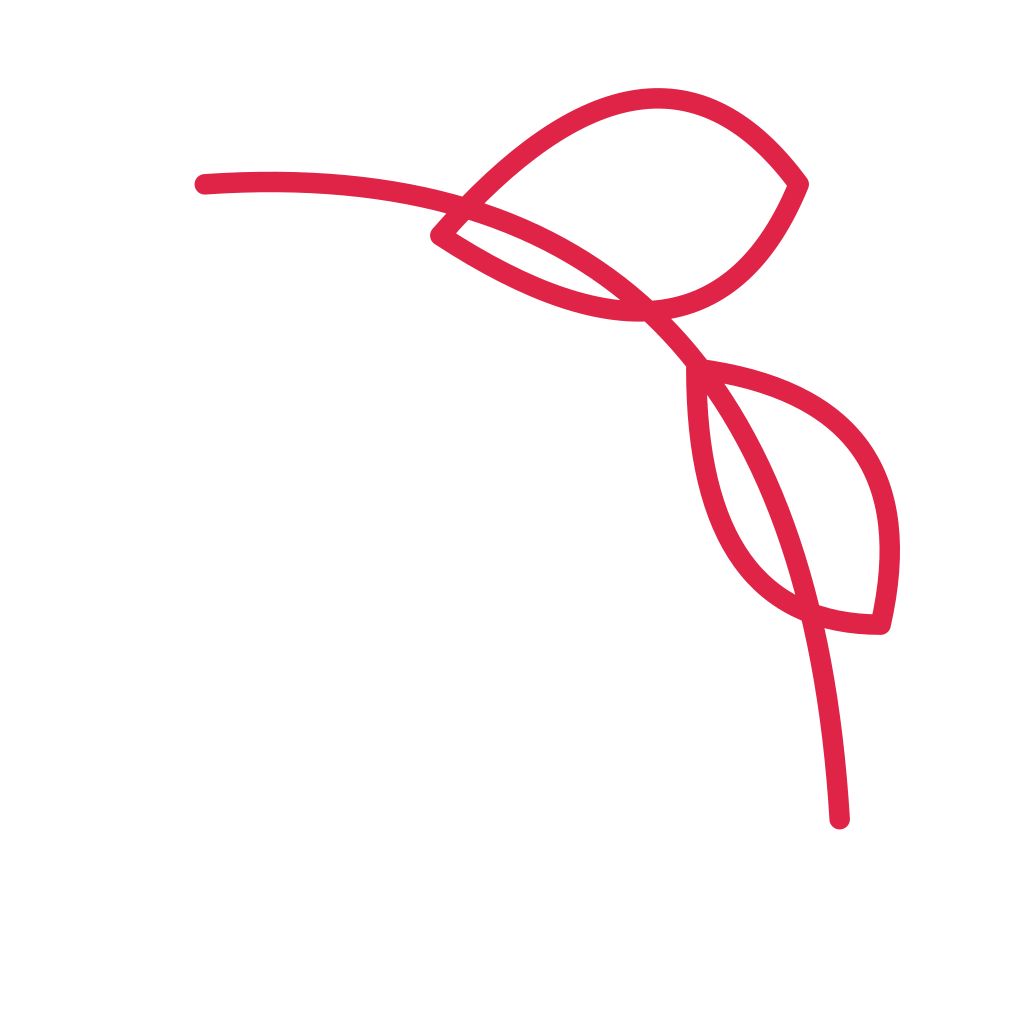 A leaf corner ornament opens towards the centre from the top right corner.