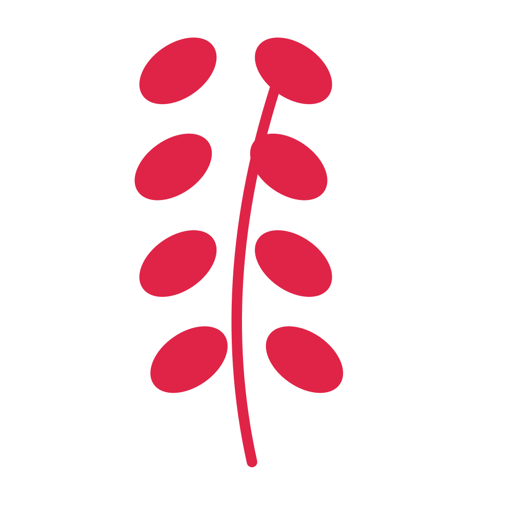 A slender curved stem carries 4 pairs of round leaves, with shorter growth towards its tip.