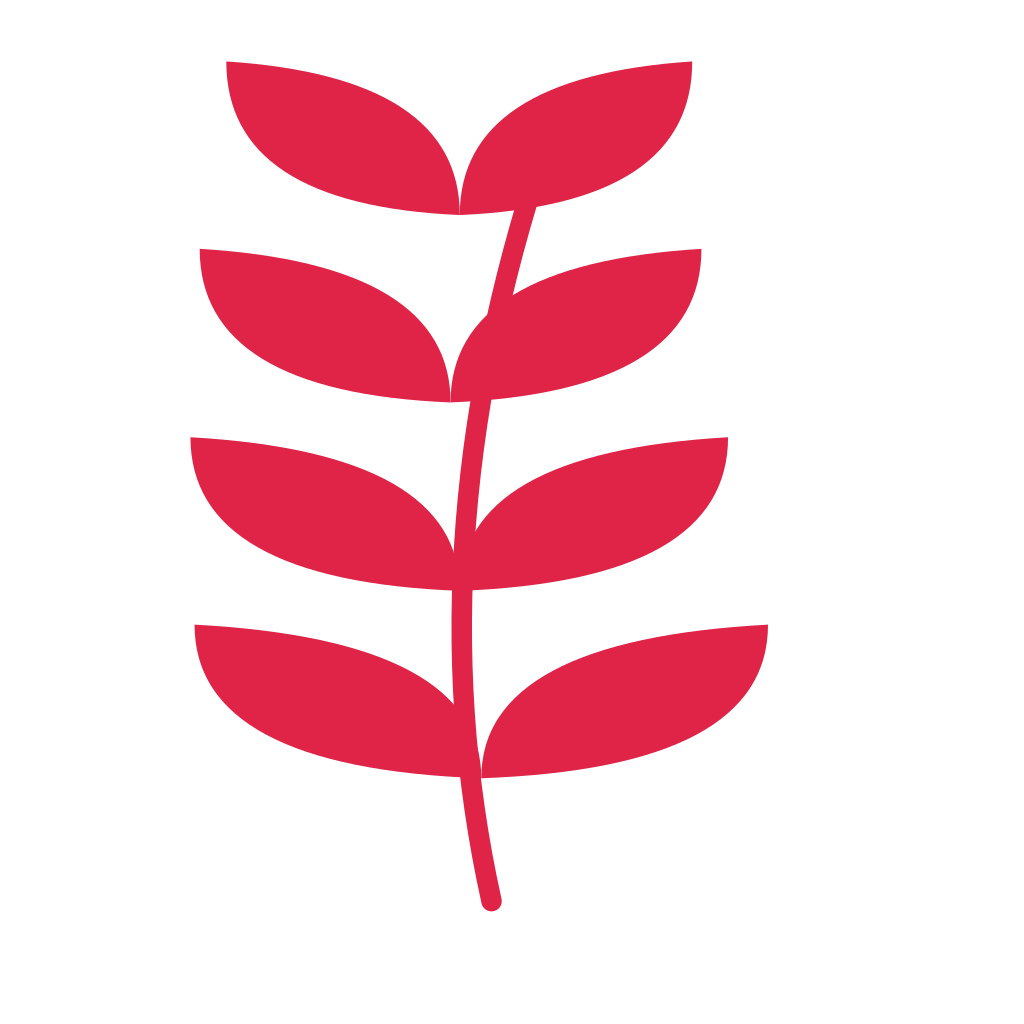 A slender curved stem carries 4 pairs of willow leaves, with shorter growth towards its tip.