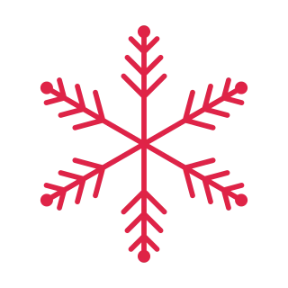 6 arm snowflake with 3 branch tiers and bead tips at 45 degrees.