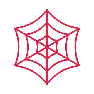 6 spoke spider web with 3 rings.