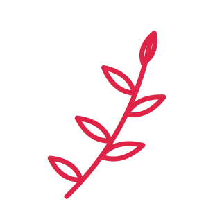 Botanical laurel branch.