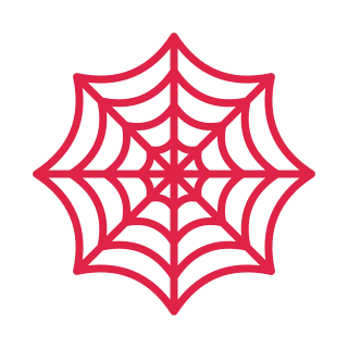Symmetrical spider web.