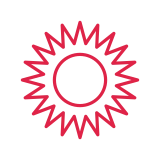 A double radial badge has 20 evenly spaced outward points and an inner circular ring.