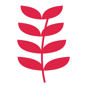 A slender curved stem carries 4 pairs of willow leaves, with shorter growth towards its tip.