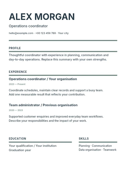 Chronological professional resume template