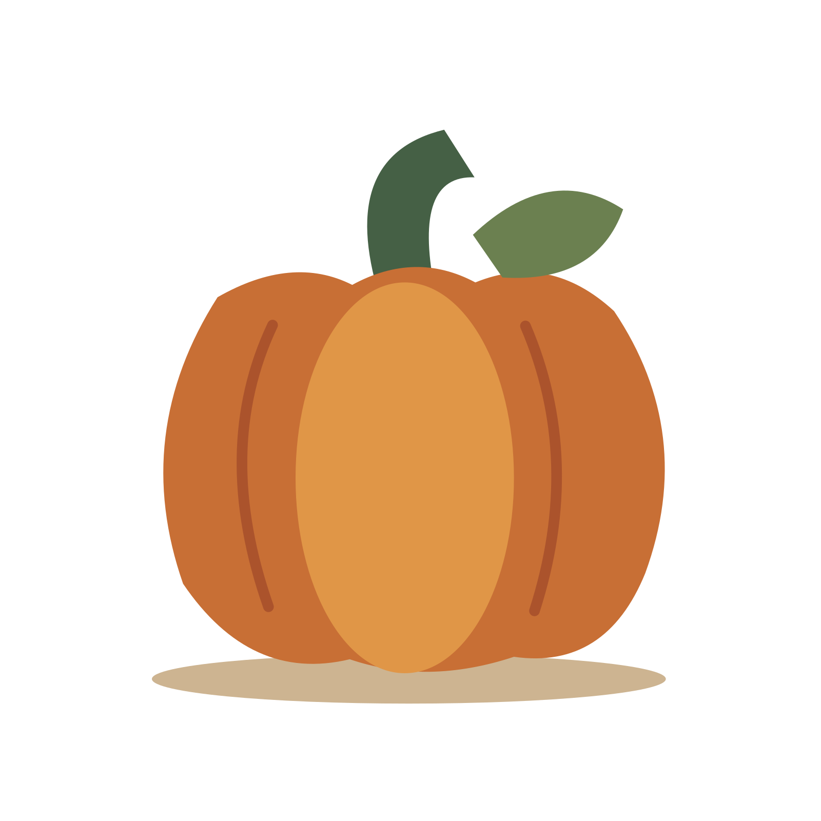 Harvest pumpkin study in a balanced, multicolour illustration with a transparent background.