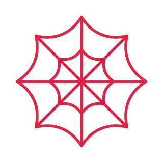 8 spoke spider web with 2 rings.