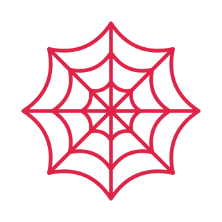8 spoke spider web with 3 rings.