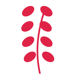 A slender curved stem carries 4 pairs of round leaves, with shorter growth towards its tip.