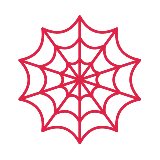 10 spoke spider web with 3 rings.