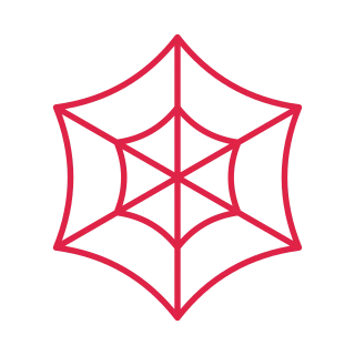 6 spoke spider web with 2 rings.