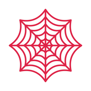 8 spoke spider web with 5 rings.