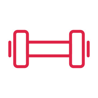 Two broad weight plates are joined by a straight central grip.