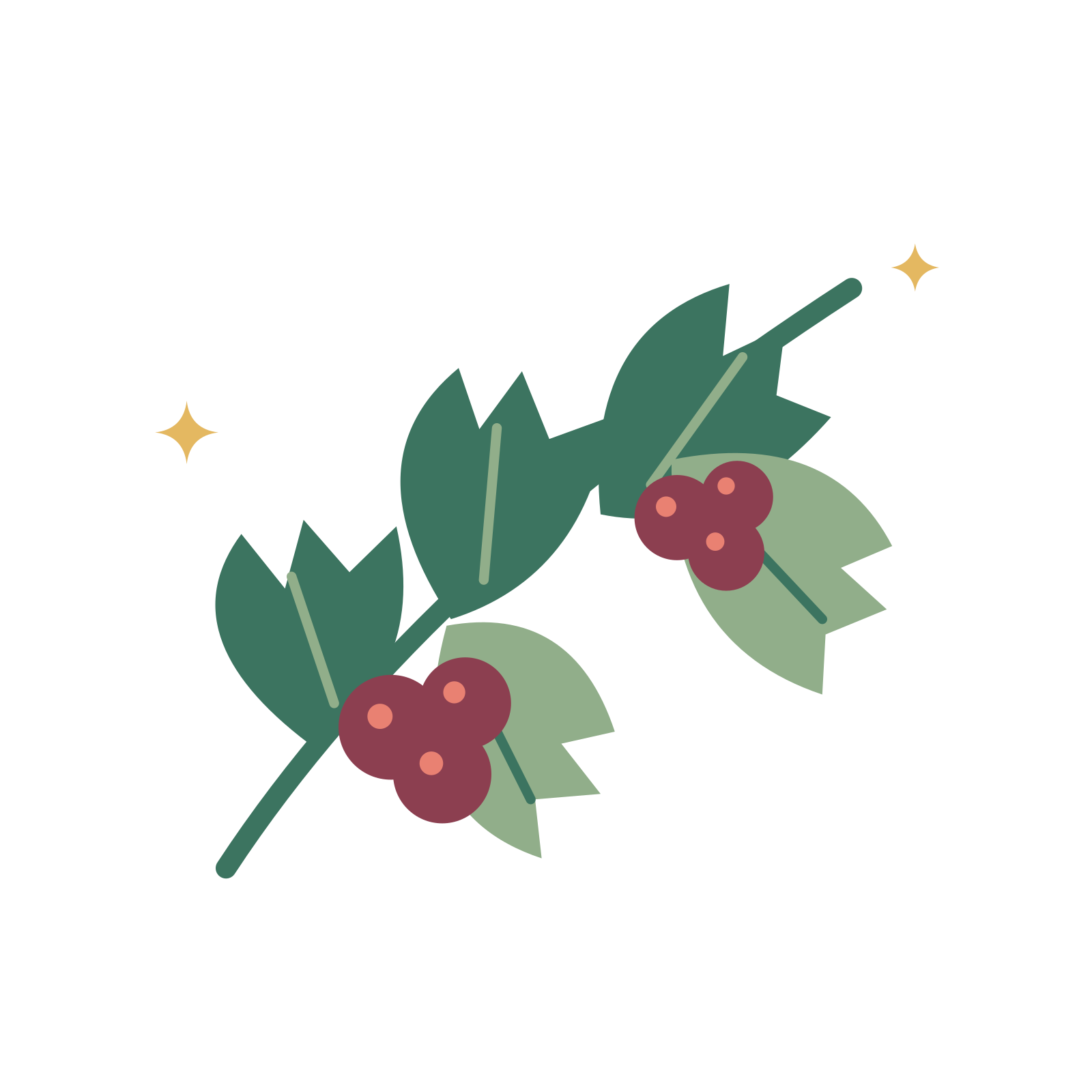 An asymmetric holly branch with deep green spiked leaves, sage foliage and burgundy berries with coral highlights.