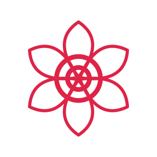 A radial flower has 6 layered petals arranged around a circular centre.