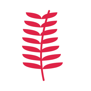 A slender curved stem carries 7 pairs of almond leaves, with shorter growth towards its tip.