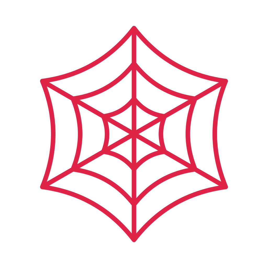6 spoke spider web with 3 rings.