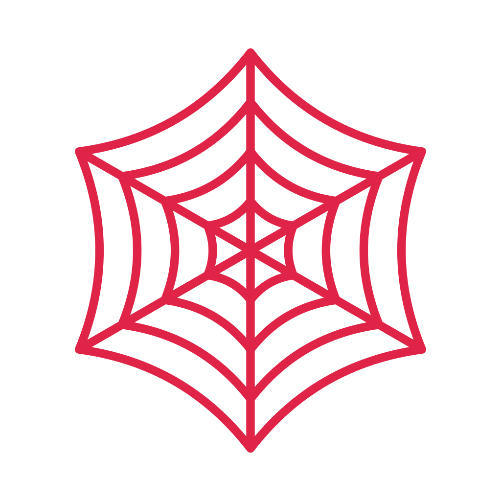 6 spoke spider web with 4 rings.