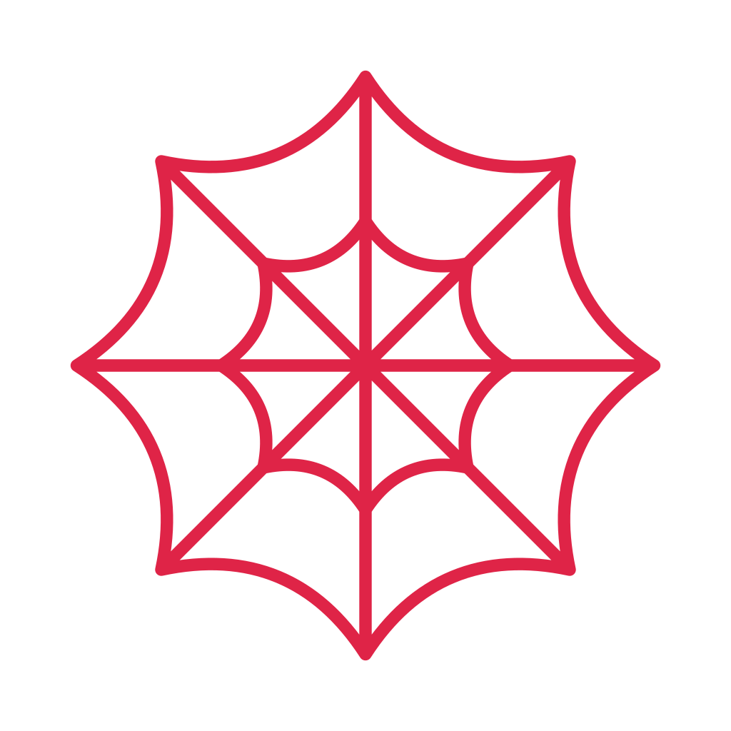 8 spoke spider web with 2 rings.