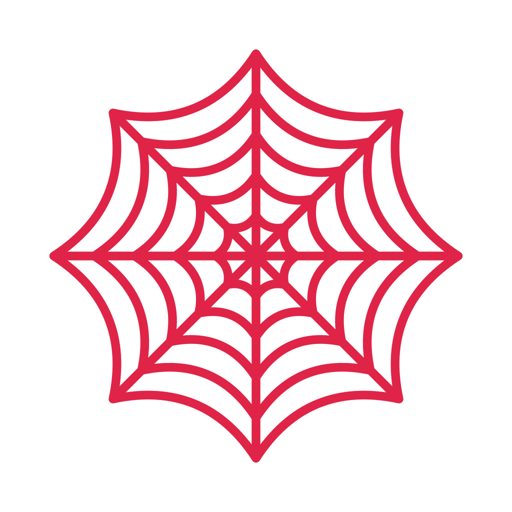 8 spoke spider web with 5 rings.