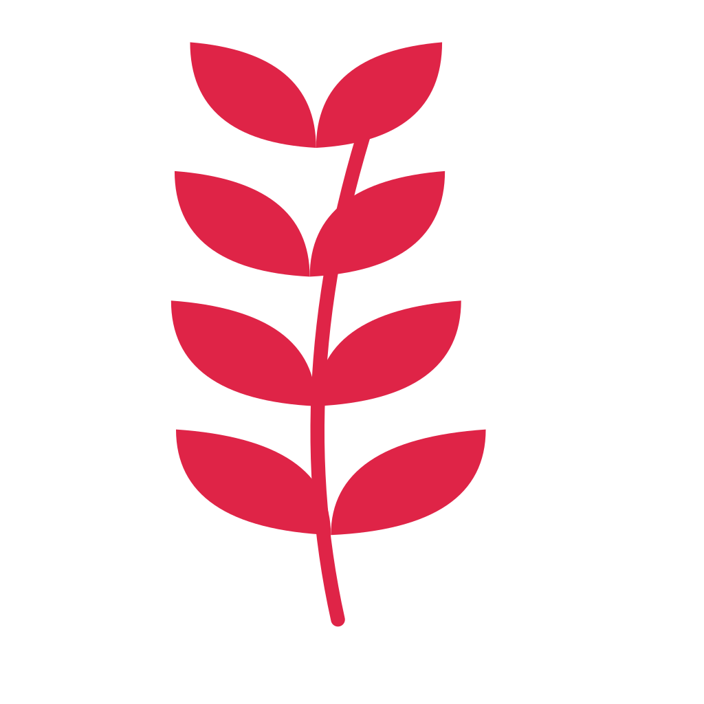 A slender curved stem carries 4 pairs of almond leaves, with shorter growth towards its tip.