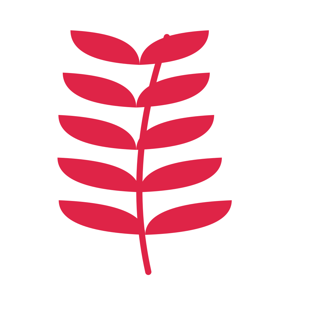 A slender curved stem carries 5 pairs of willow leaves, with shorter growth towards its tip.