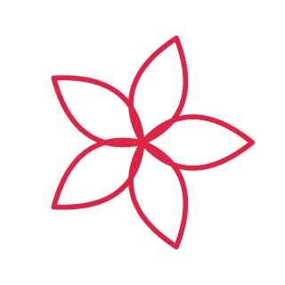 5 petal rosette flower.